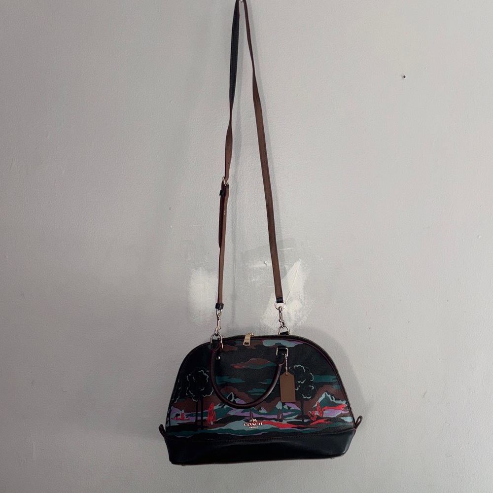 Coach Black and Brown Crossbody Bag